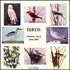 Аудіокнига Birds, Vol. I, No 6, June 1897
