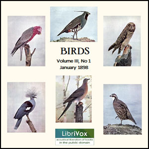 Аудіокнига Birds, Vol. III, No 1, January 1898