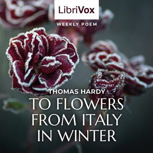 Audiobook To Flowers From Italy In Winter