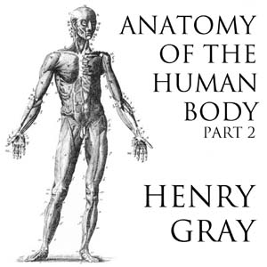 Аудіокнига Anatomy of the Human Body, Part 2 (Gray's Anatomy)