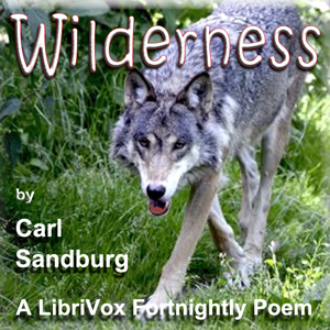 Audiobook Wilderness