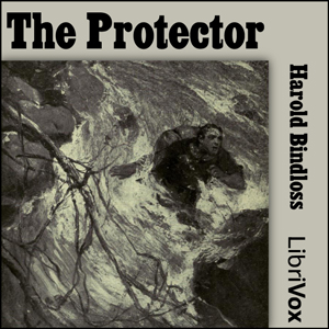 Audiobook The Protector