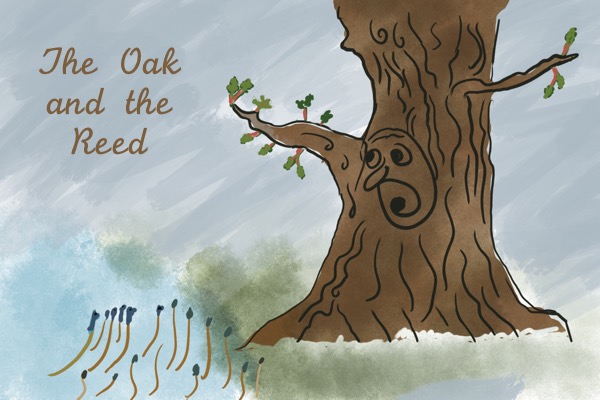 Audiobook The Oak and the Reed
