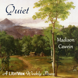 Audiobook Quiet