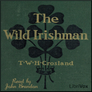 Audiobook The Wild Irishman