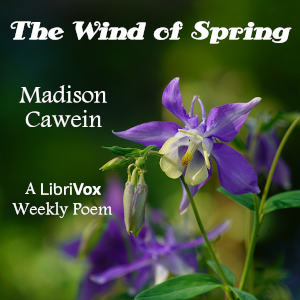 Audiobook The Wind Of Spring