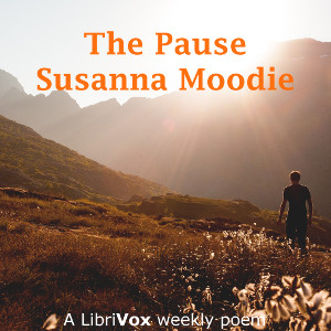 Audiobook The Pause