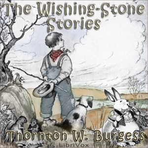 Audiobook The Wishing-Stone Stories