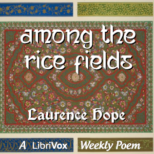 Audiobook Among the Rice Fields