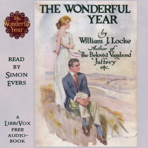 Audiobook The Wonderful Year