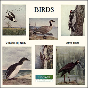 Аудіокнига Birds, Vol. III, No 6, June 1898