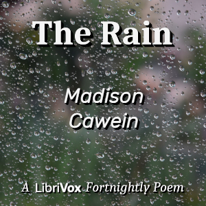 Audiobook The Rain