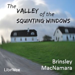 Аудіокнига The Valley of the Squinting Windows
