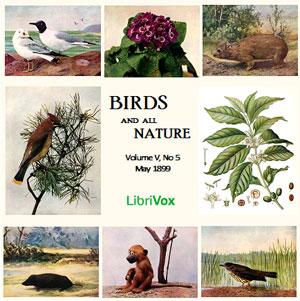 Аудіокнига Birds and All Nature, Vol. V, No 5, May 1899