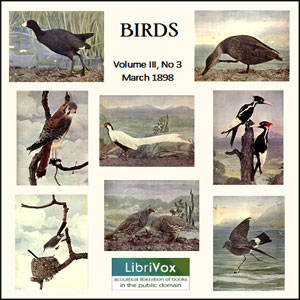 Аудіокнига Birds, Vol. III, No 3, March 1898