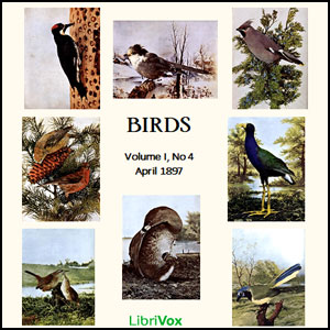 Аудіокнига Birds, Vol. I, No 4, April 1897