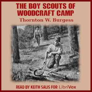 Audiobook The Boy Scouts of Woodcraft Camp