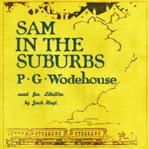 Audiobook Sam In The Suburbs