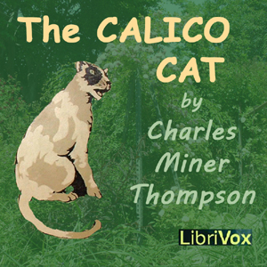 Аудіокнига The Calico Cat (version 2)