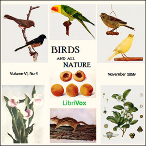 Аудіокнига Birds and All Nature, Vol. VI, No 4, November 1899