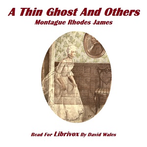 Audiobook A Thin Ghost And Others