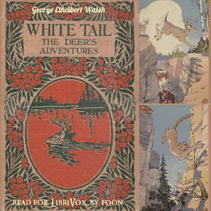 Аудіокнига White Tail the Deer's Adventures