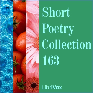 Аудіокнига Short Poetry Collection 163