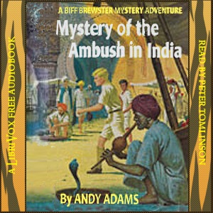 Аудіокнига Mystery of the Ambush in India