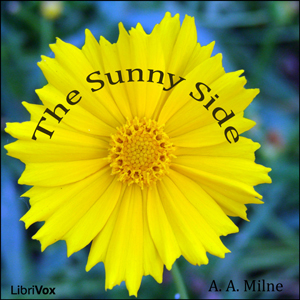 Аудіокнига The Sunny Side