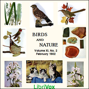Аудіокнига Birds and Nature, Vol. XI, No 2, February 1902