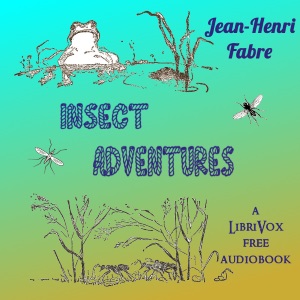 Аудіокнига Insect Adventures