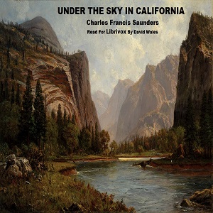 Аудіокнига Under The Sky In California