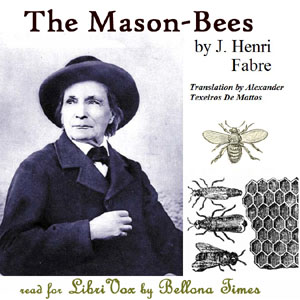 Audiobook The Mason-Bees