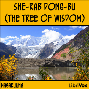 Audiobook She-rab Dong-bu (The Tree of Wisdom)