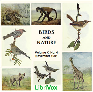 Audiobook Birds and Nature, Vol. X, No 4, November 1901