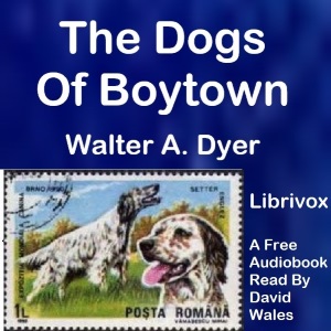 Аудіокнига The Dogs Of Boytown