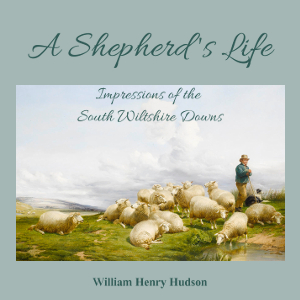 Аудіокнига A Shepherd's Life; Impressions Of The South Wiltshire Downs