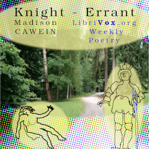Audiobook Knight - Errant