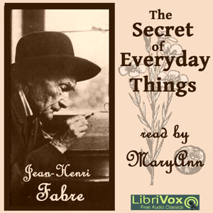 Audiobook The Secret of Everyday Things
