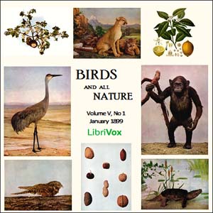 Аудіокнига Birds and All Nature, Vol. V, No 1, January 1899