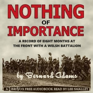 Audiobook Nothing of Importance