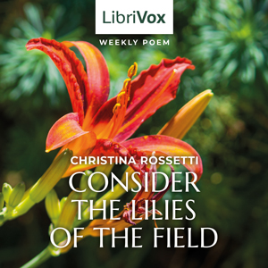 Аудіокнига Consider the Lilies of the Field