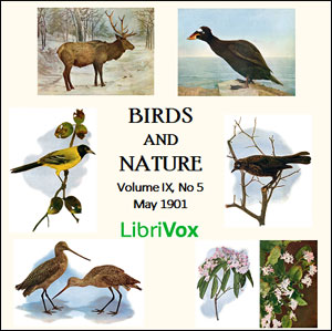 Аудіокнига Birds and Nature, Vol. IX, No 5, May 1901