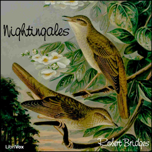 Audiobook Nightingales