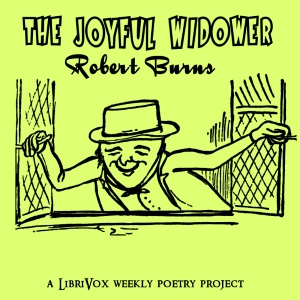 Аудіокнига The Joyful Widower