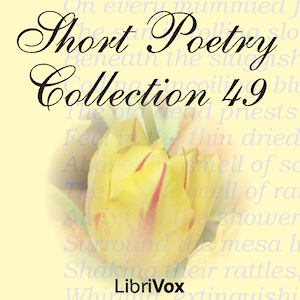 Аудіокнига Short Poetry Collection 049