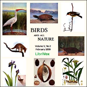 Audiobook Birds and All Nature, Vol. V, No 2 February 1899