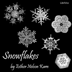 Аудіокнига Snowflakes