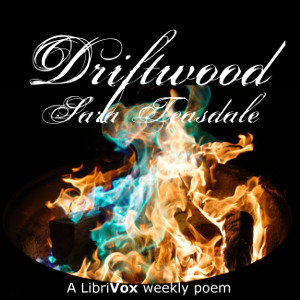 Аудіокнига Driftwood