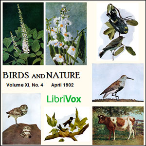 Audiobook Birds and Nature, Vol. XI, No 4, April 1902